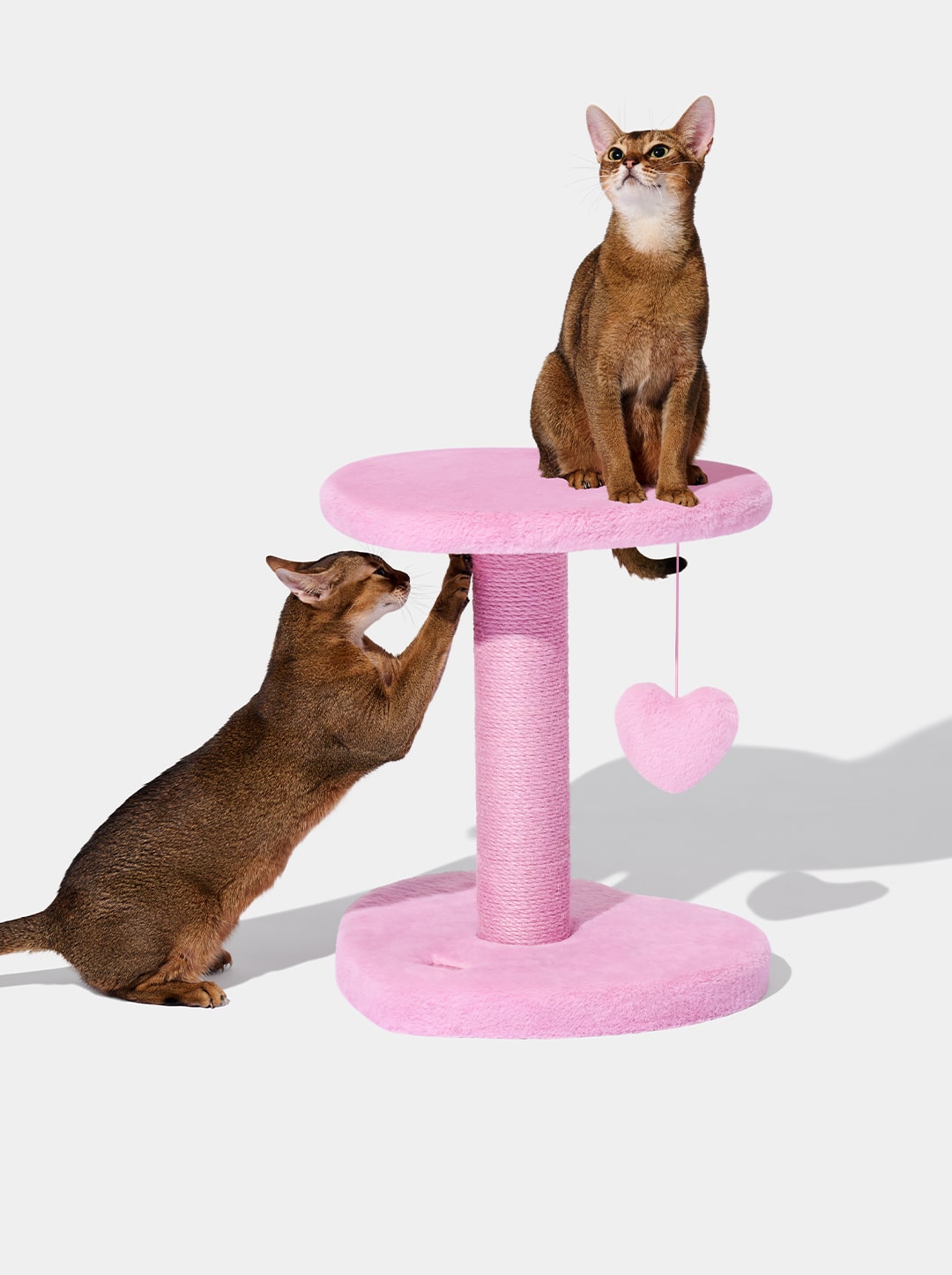 Heartpurrink Cat Climber