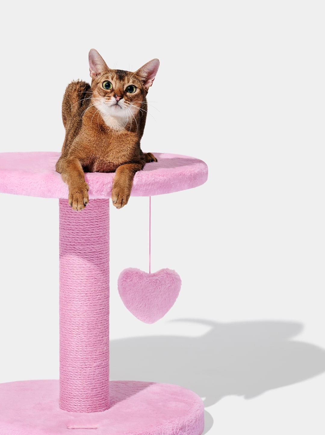 Heartpurrink Cat Climber