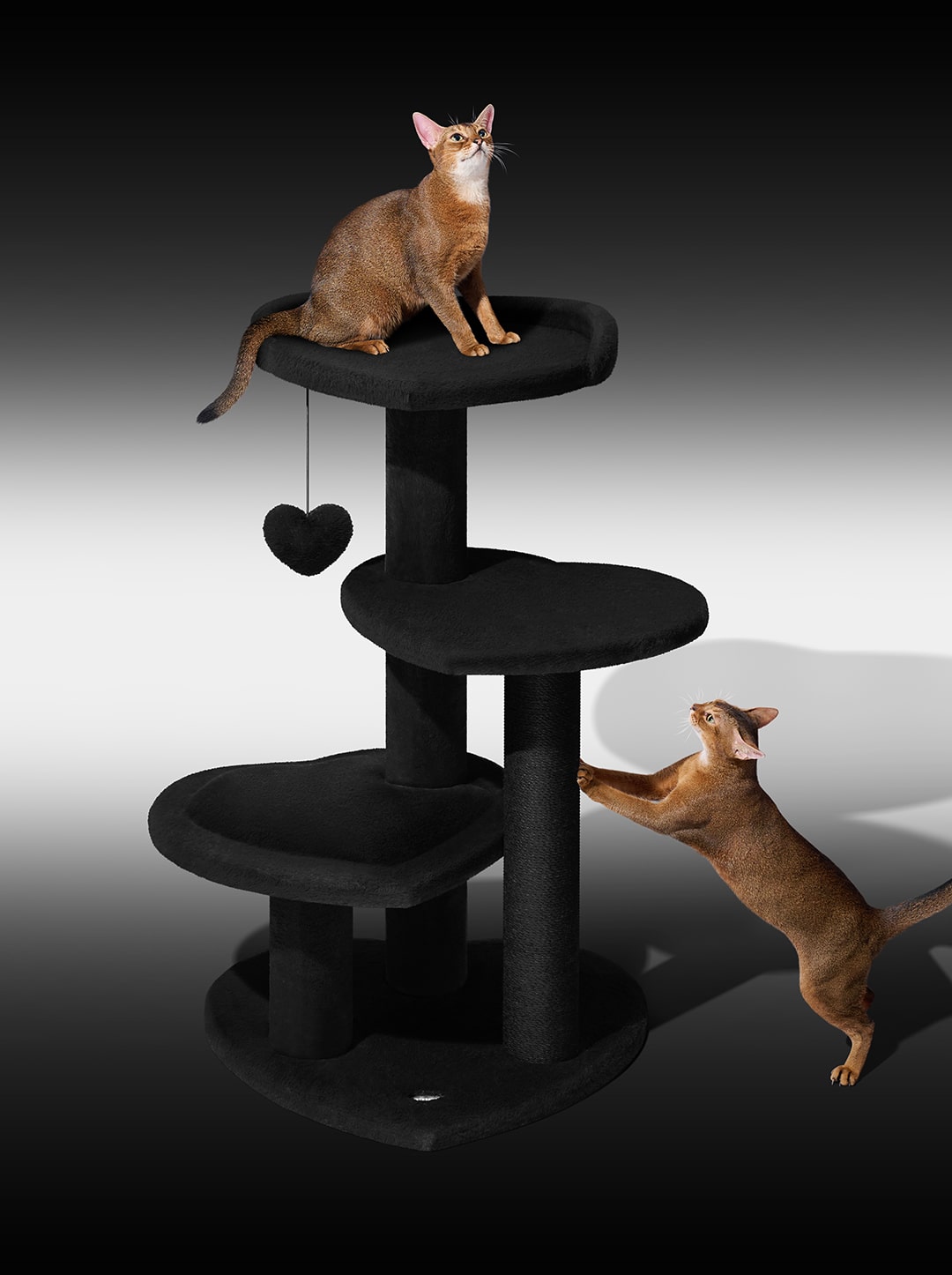 Heartpurrnoir Cat Climber - Four Platforms