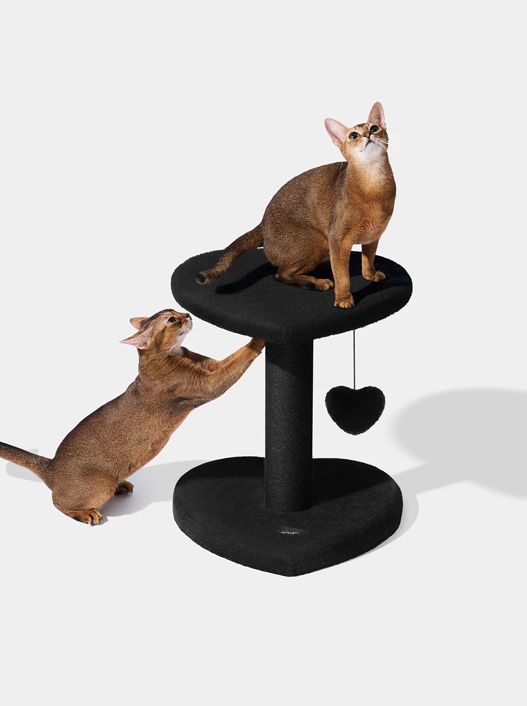 Heartpurrnoir Cat Climber