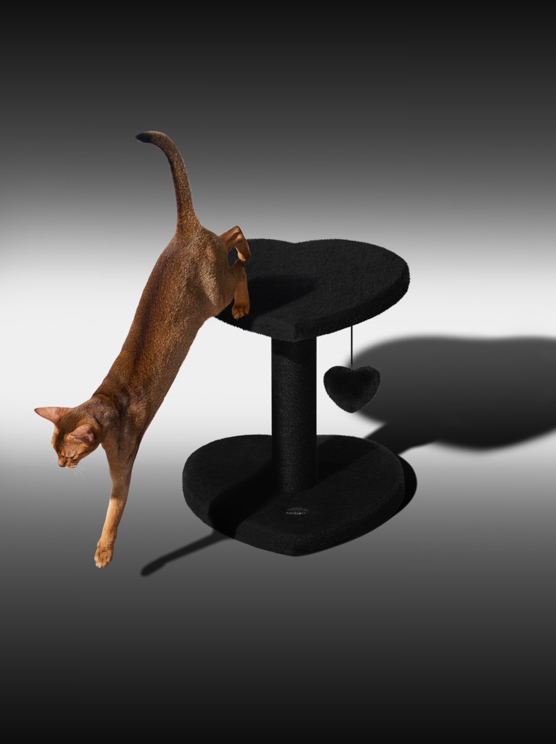 Heartpurrnoir Cat Climber