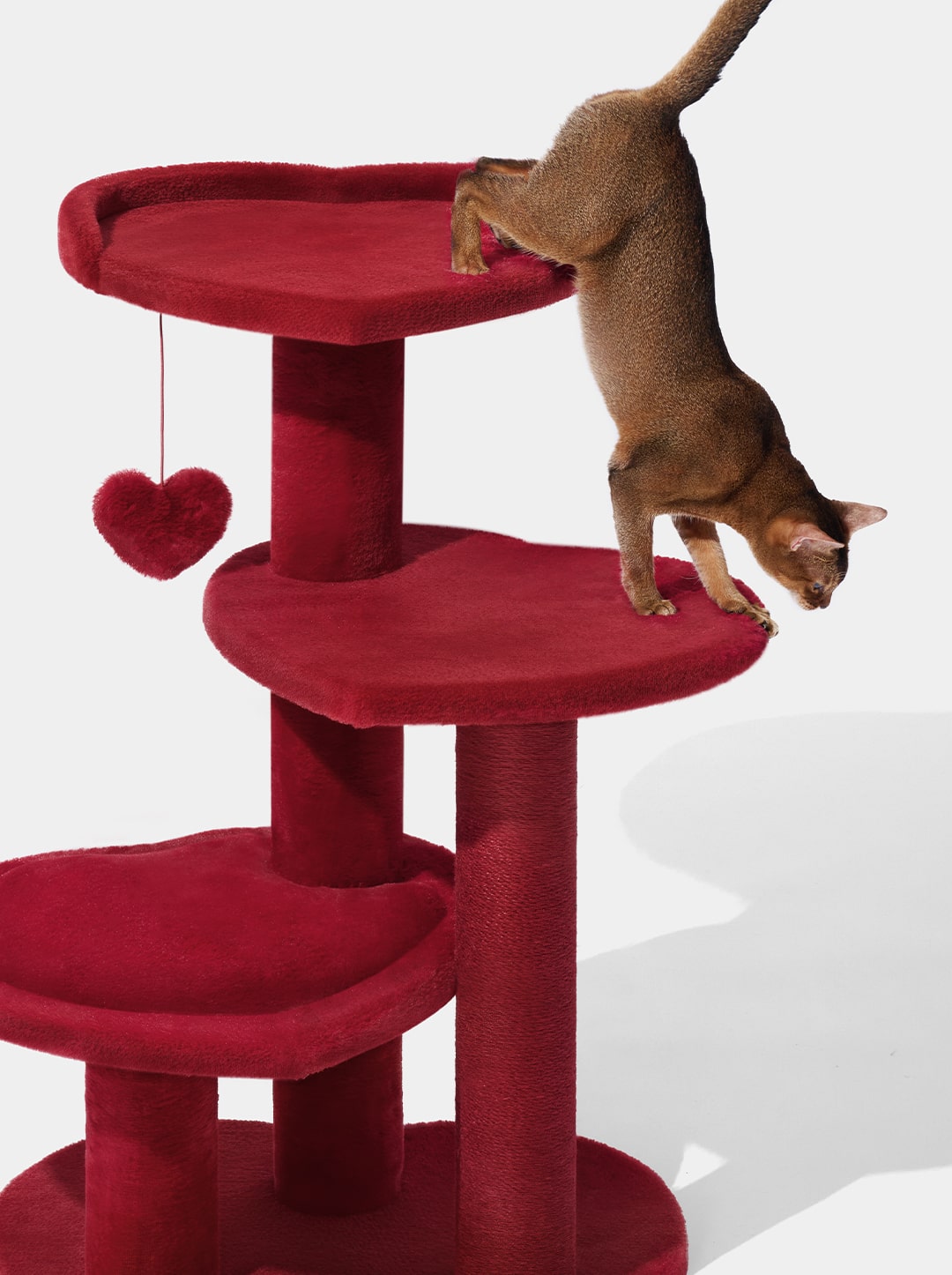Heartpurrouge Cat Climber