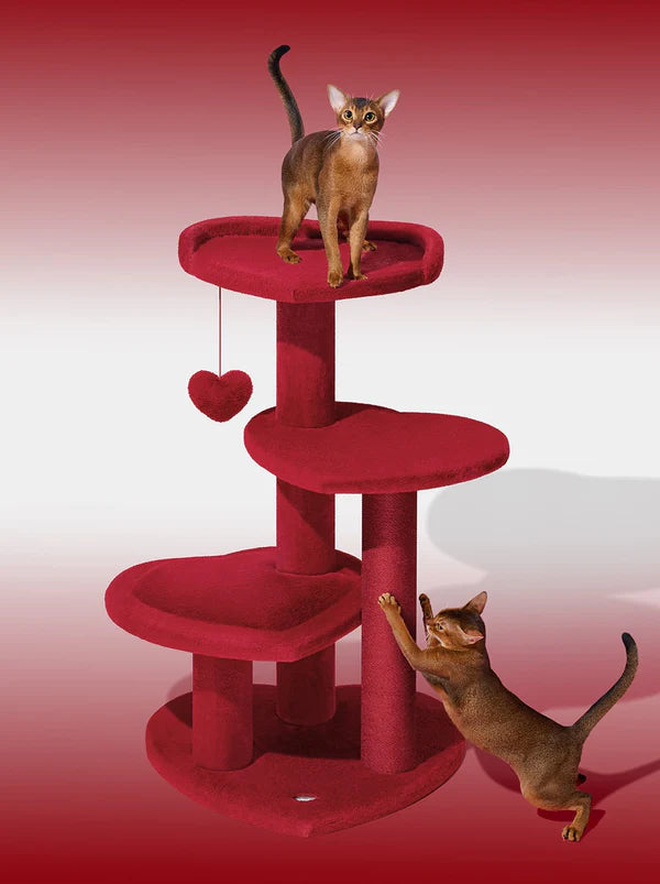 Heartpurrouge & Heartpurrnoir Cat Climber Combo