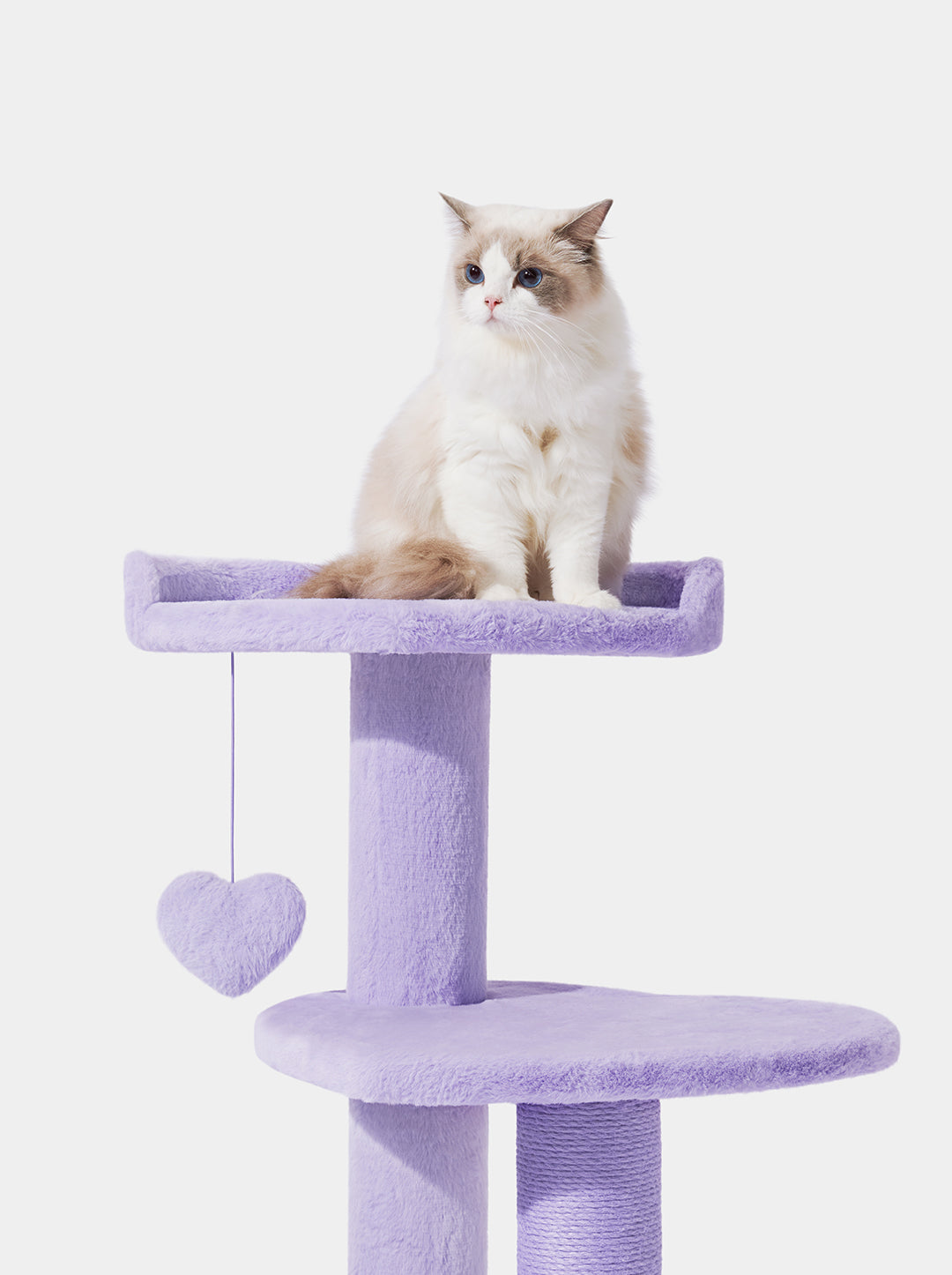 Heartpurrple Cat Climber