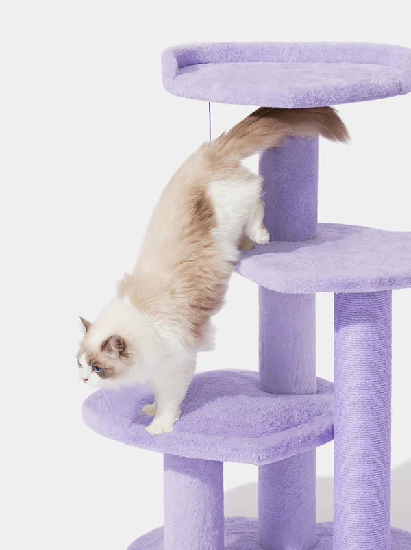 Heartpurrink & Heartpurrple Cat Climber Combo