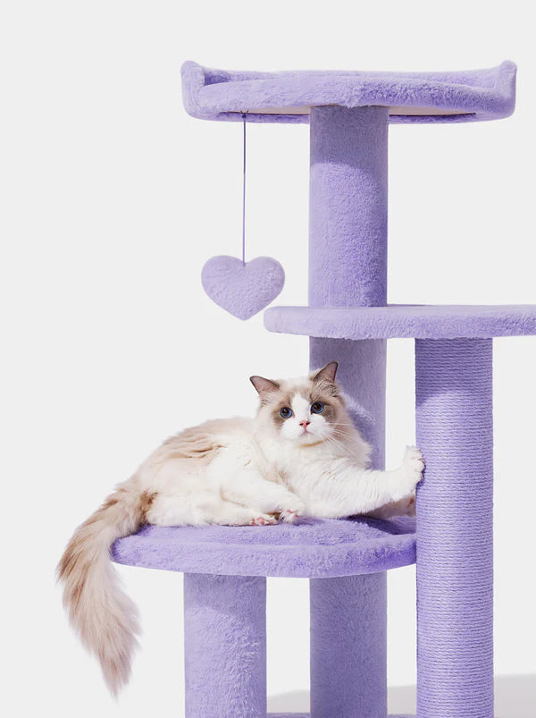 Heartpurrink & Heartpurrple Cat Climber Combo