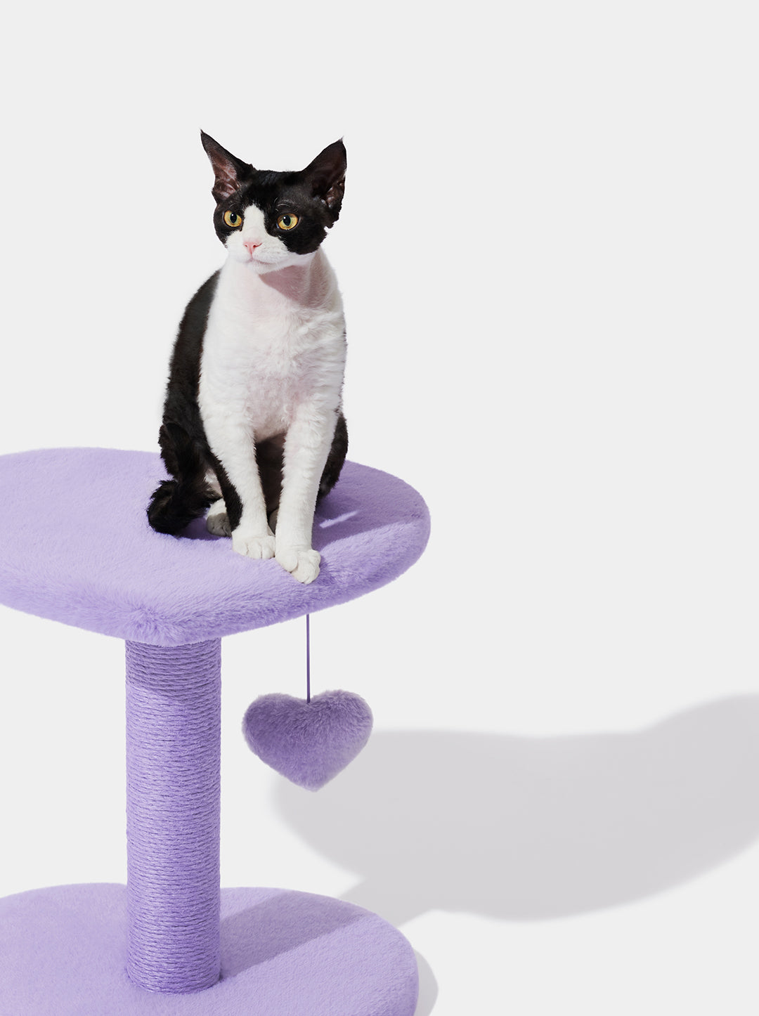 Heartpurrple Cat Climber