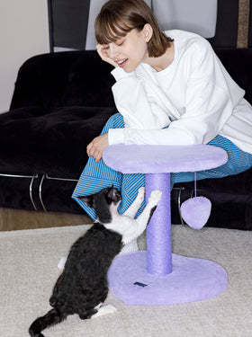 Heartpurrple Cat Climber (Two Platforms)