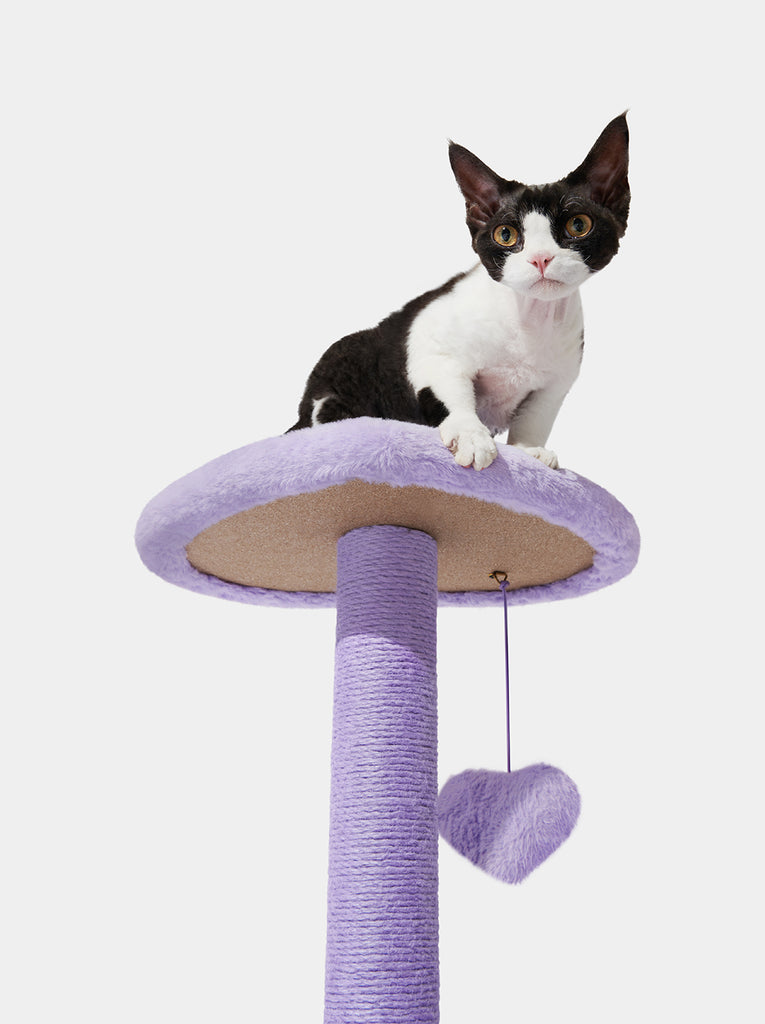 Heartpurrple Cat Climber (Two Platforms)