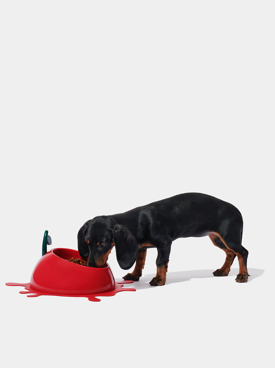 Juicy Cherry Pet Bowl, Spoon & Mat Set