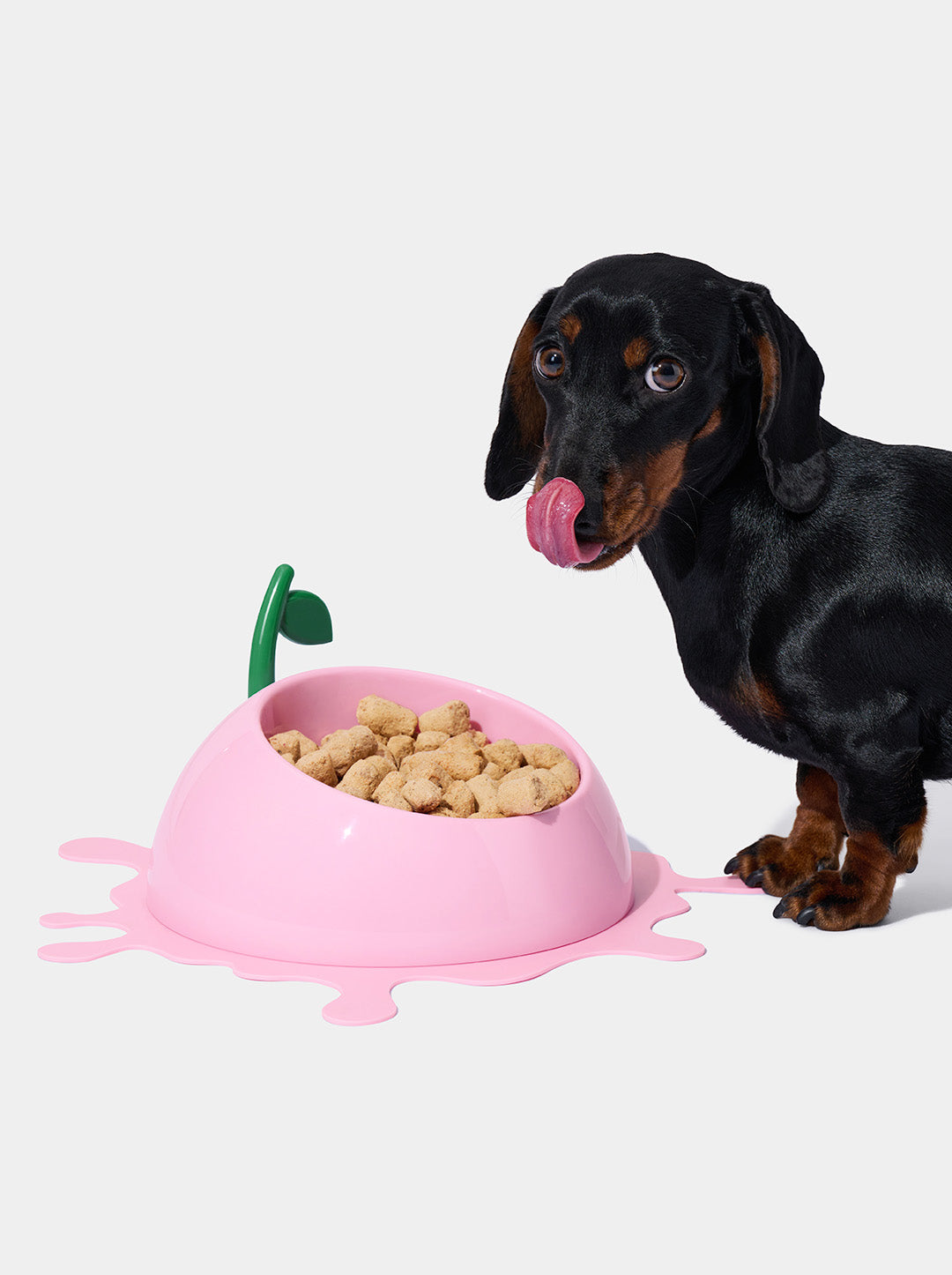 Juicy Peach Pet Bowl, Spoon & Mat Set