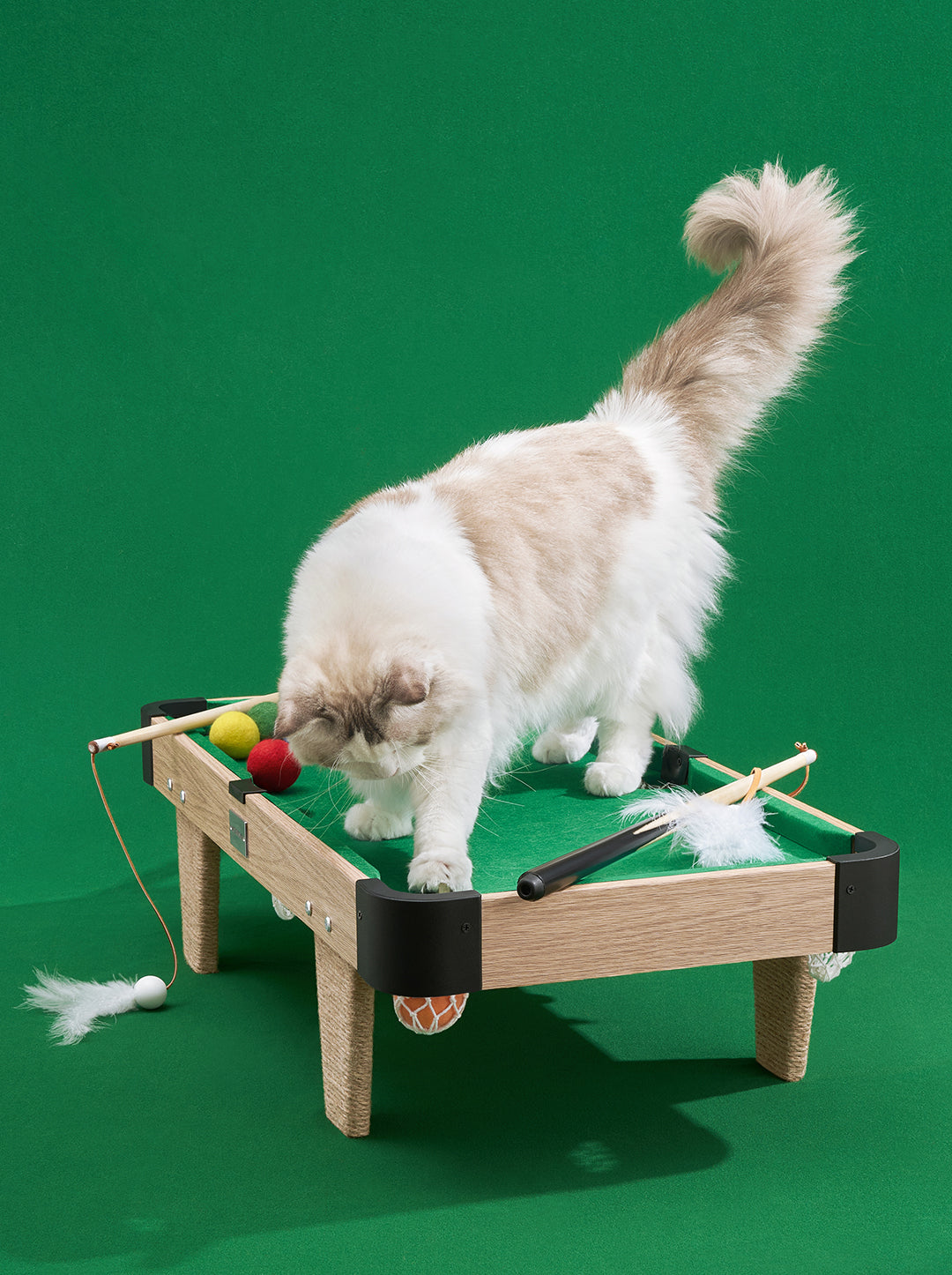 Meownooker Cat Toy Set