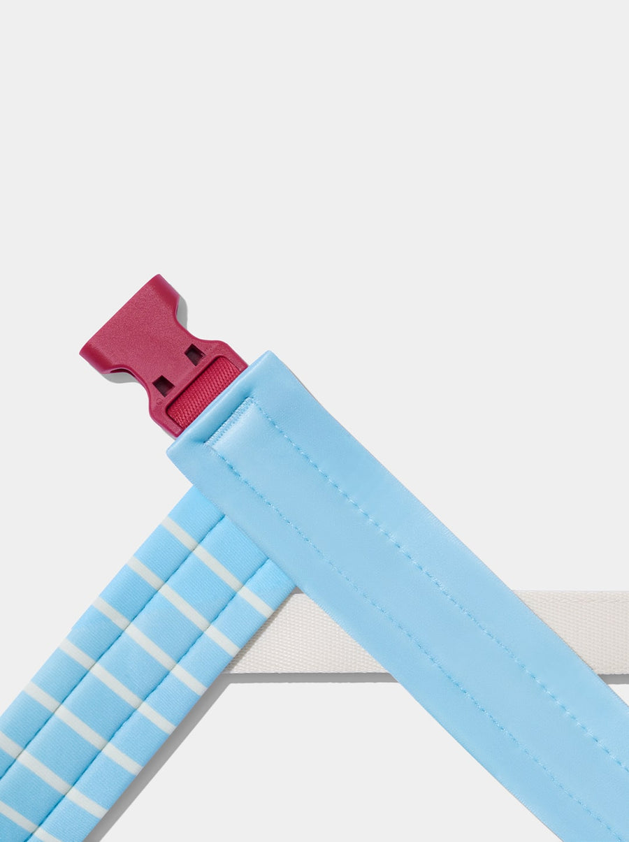 Mist & Merlot Pet Walk Kit