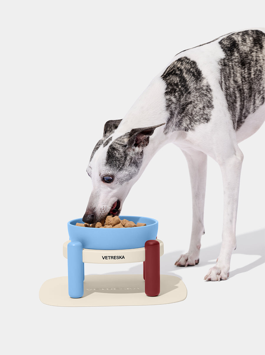 Mist & Merlot Pet Bowl & Mat Set