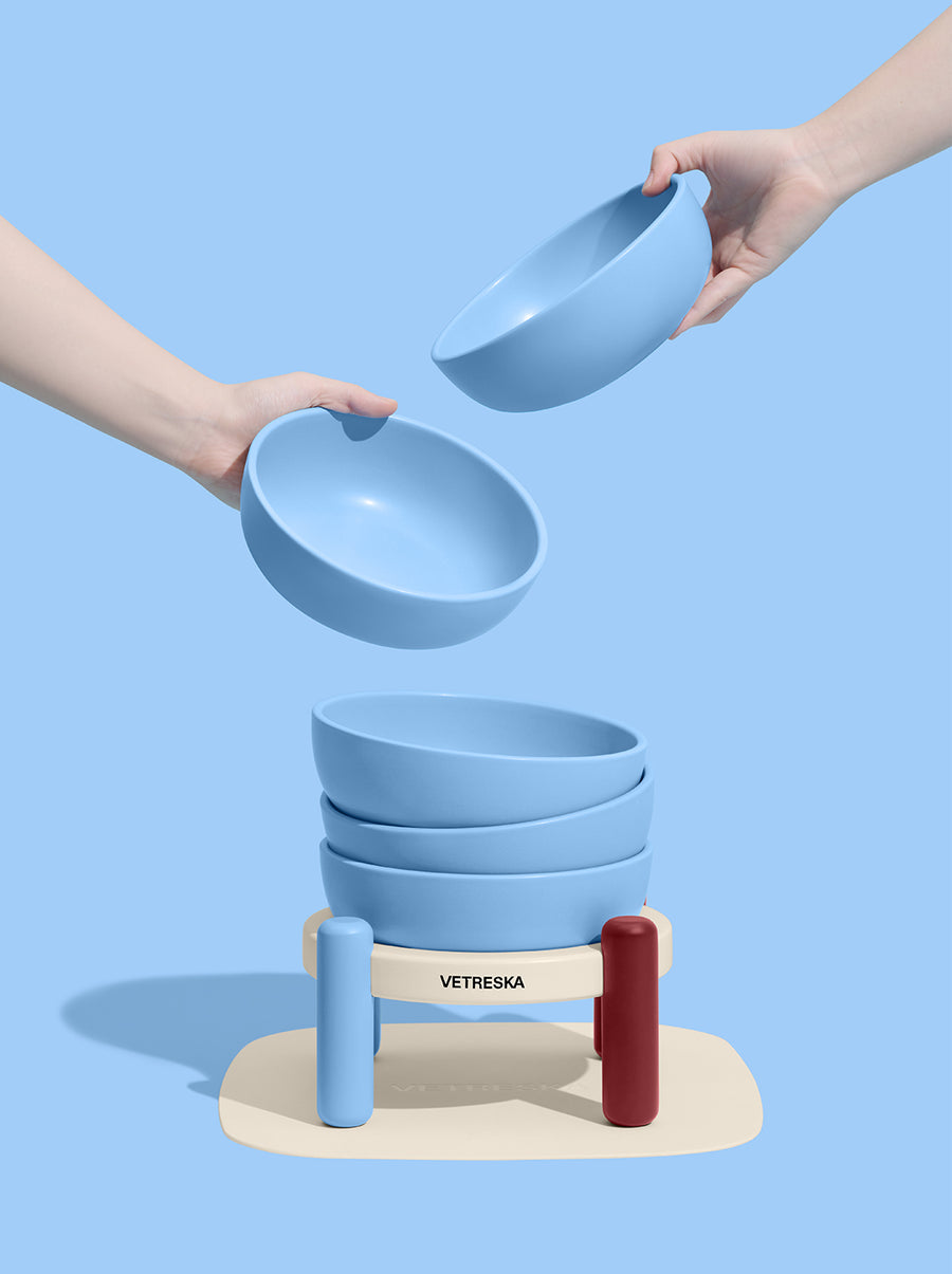 Mist & Merlot Pet Bowl & Mat Set