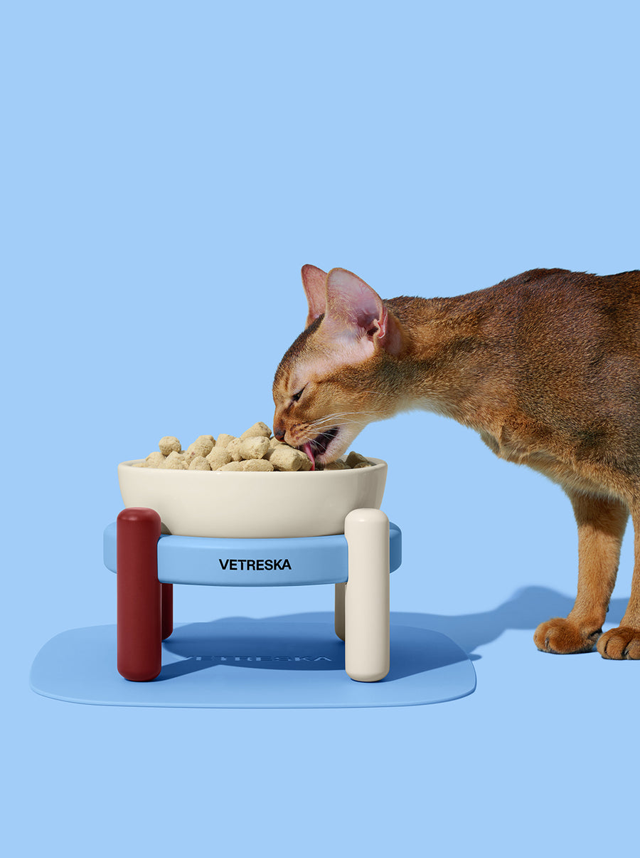 Mist & Merlot Pet Bowl & Mat Set