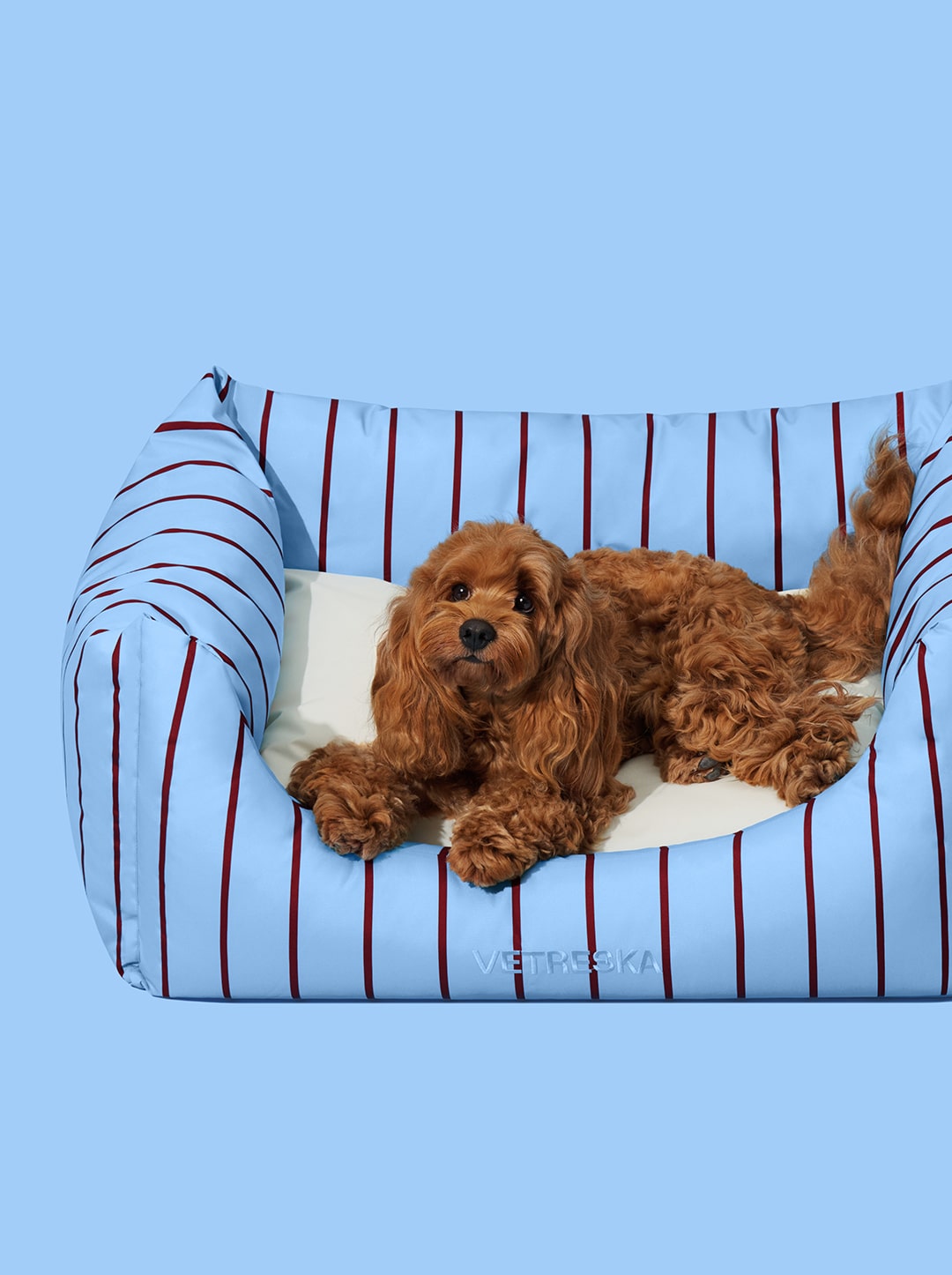 Mist And Merlot Pet Sofa - Azure & Stripes