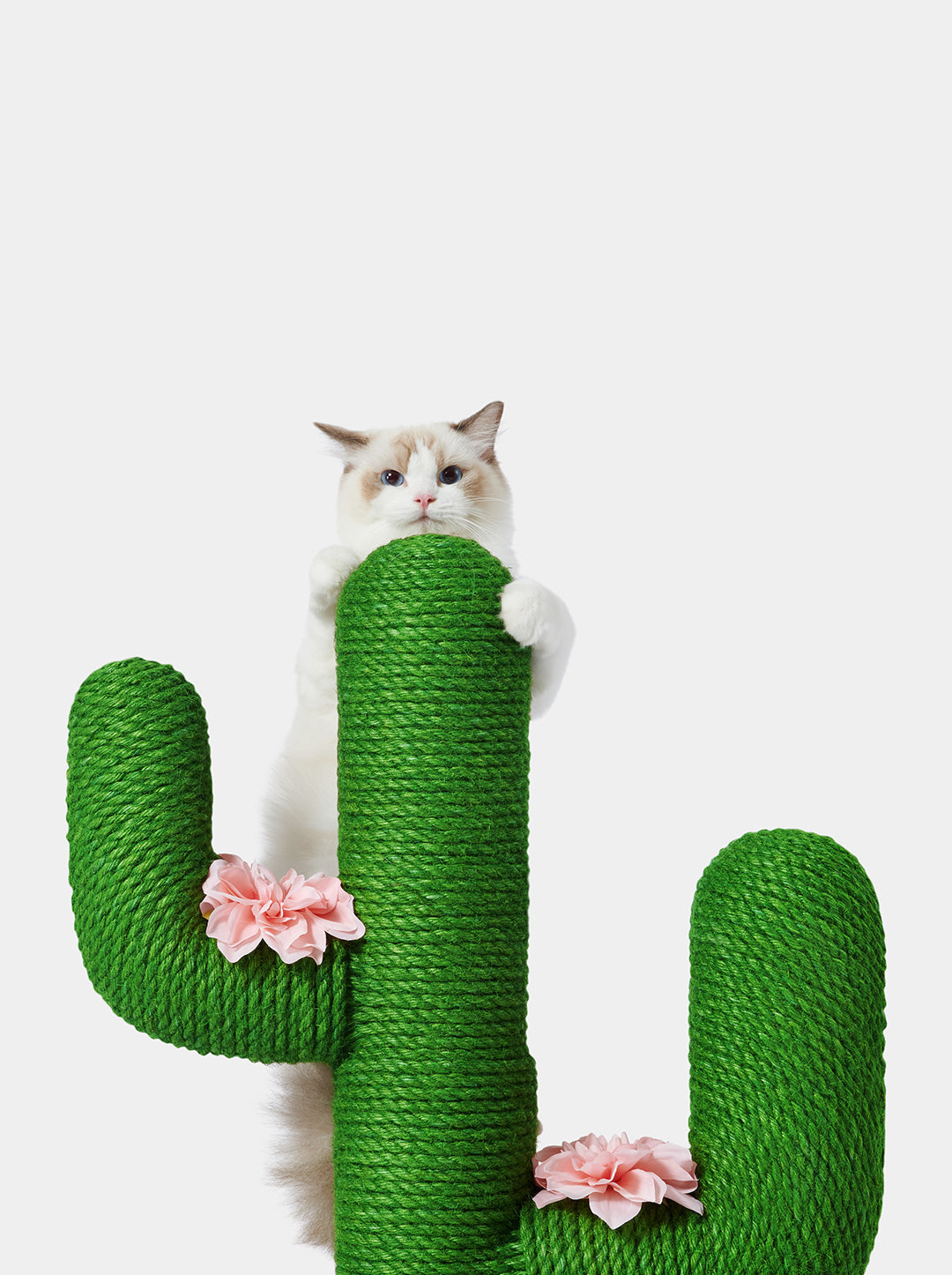 Oasis Cactus Cat Tree 41”