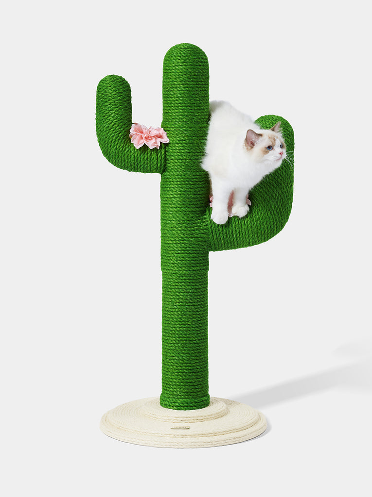 Oasis Cactus Cat Tree 41”