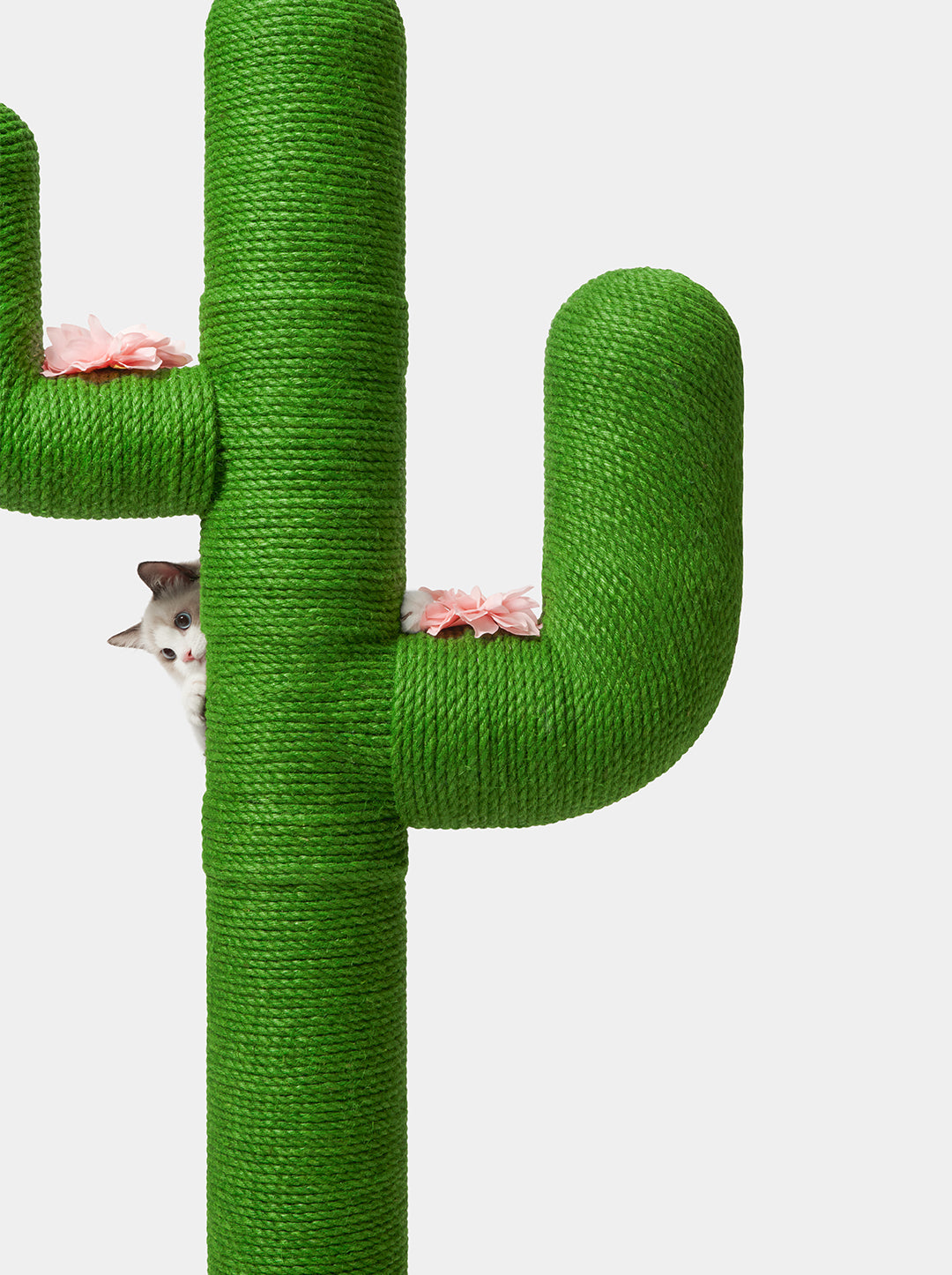 Oasis Cactus Cat Tree 65”