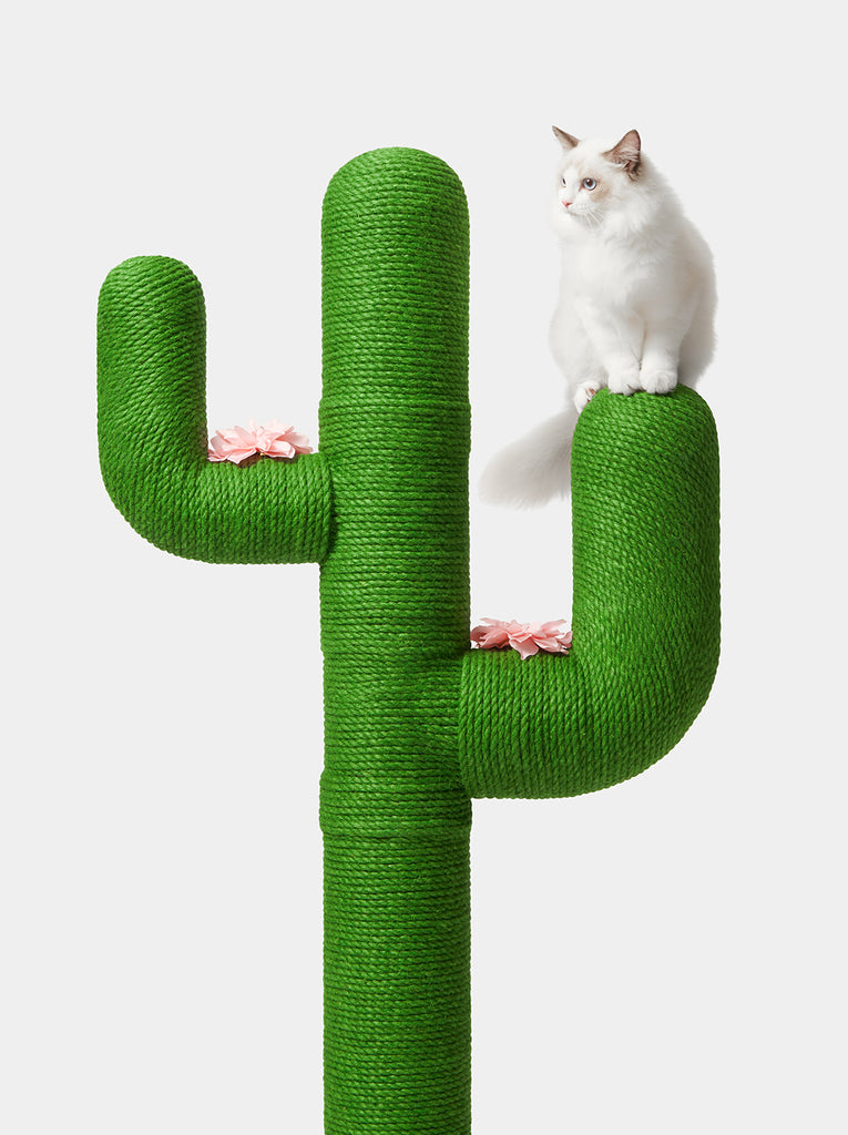 Oasis Cactus Cat Tree 65”