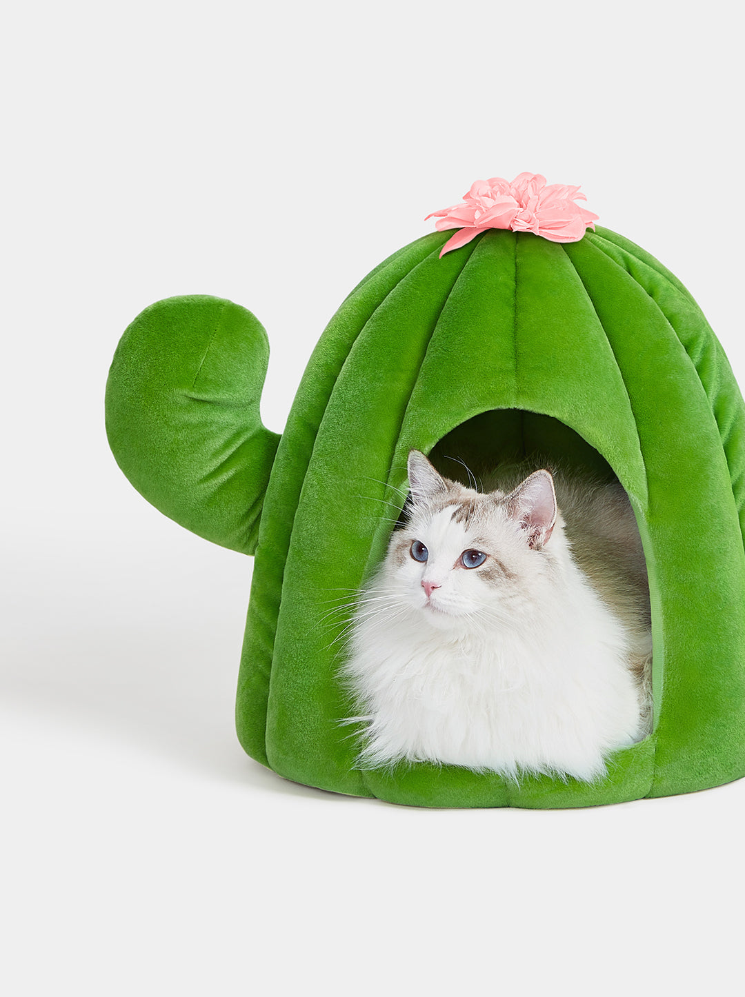 Oasis Cactus Pet Bed