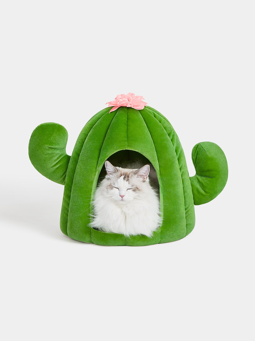 Oasis Cactus Pet Bed