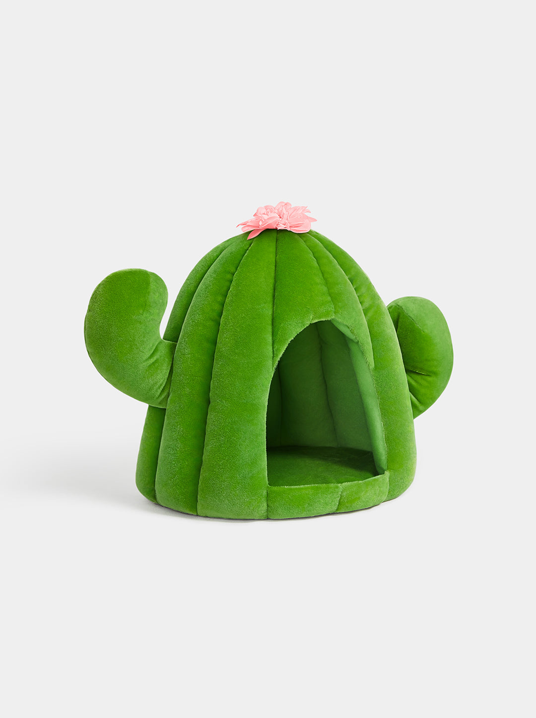 Oasis Cactus Pet Bed