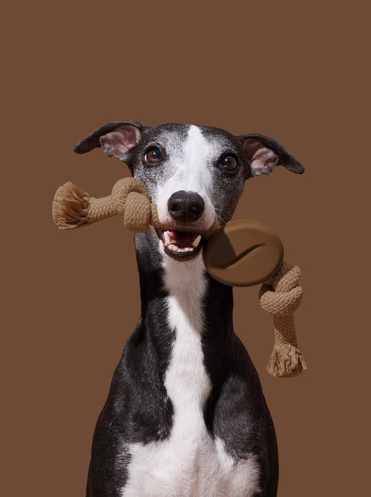 Playful Charm Knot Rope Toy (Coffee)