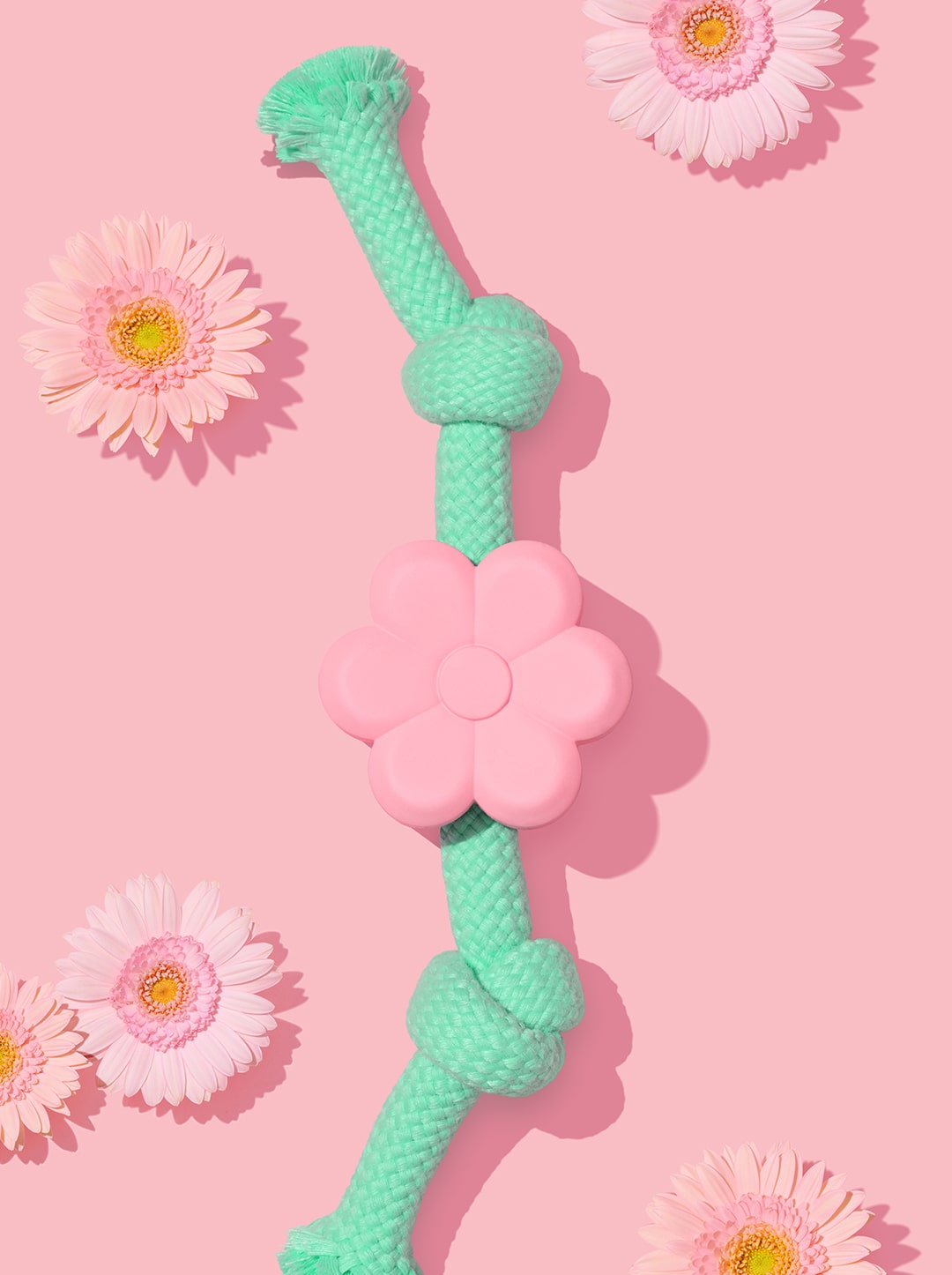 Playful Charm Knot Rope Toy