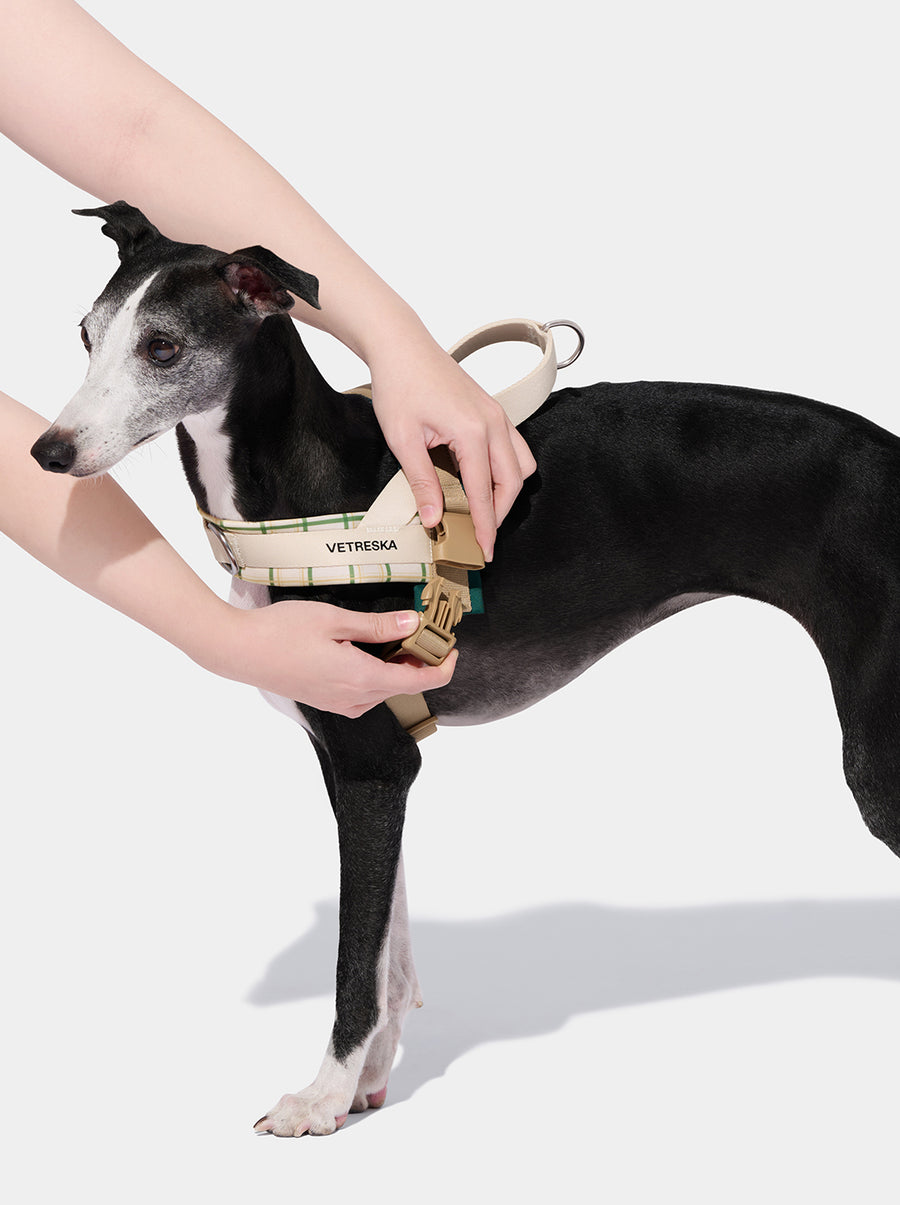 Santal Forest Pet Walk Kit