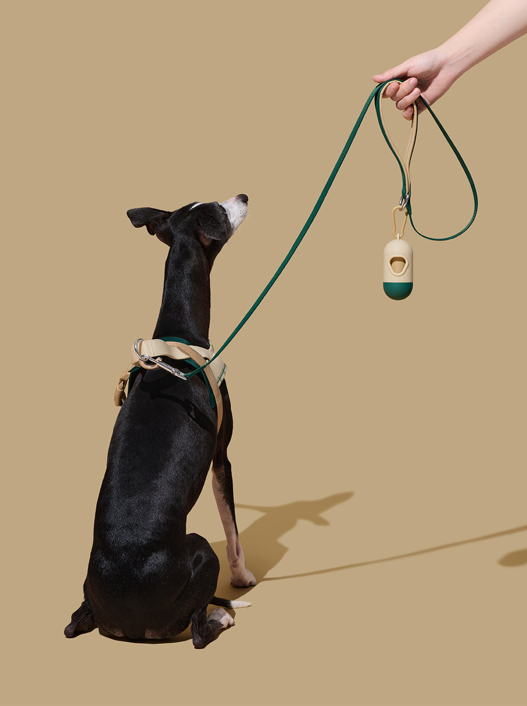 Santal Forest Pet Walk Kit