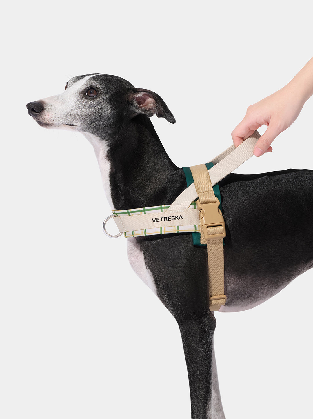 Santal Forest Pet Walk Kit
