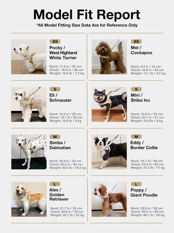 Santal Forest Pet Walk Kit