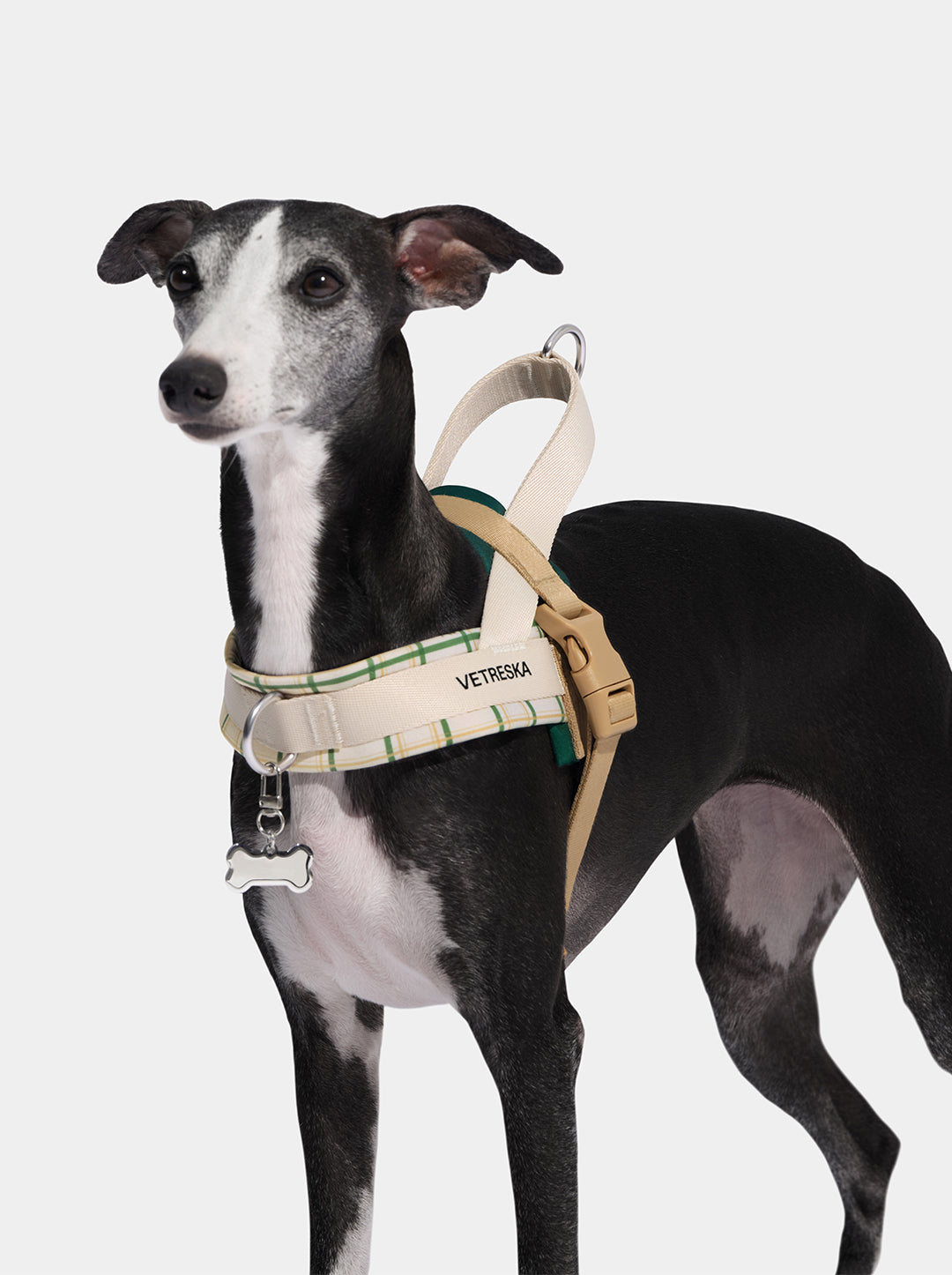 Santal Forest Pet Harness & Leash Set