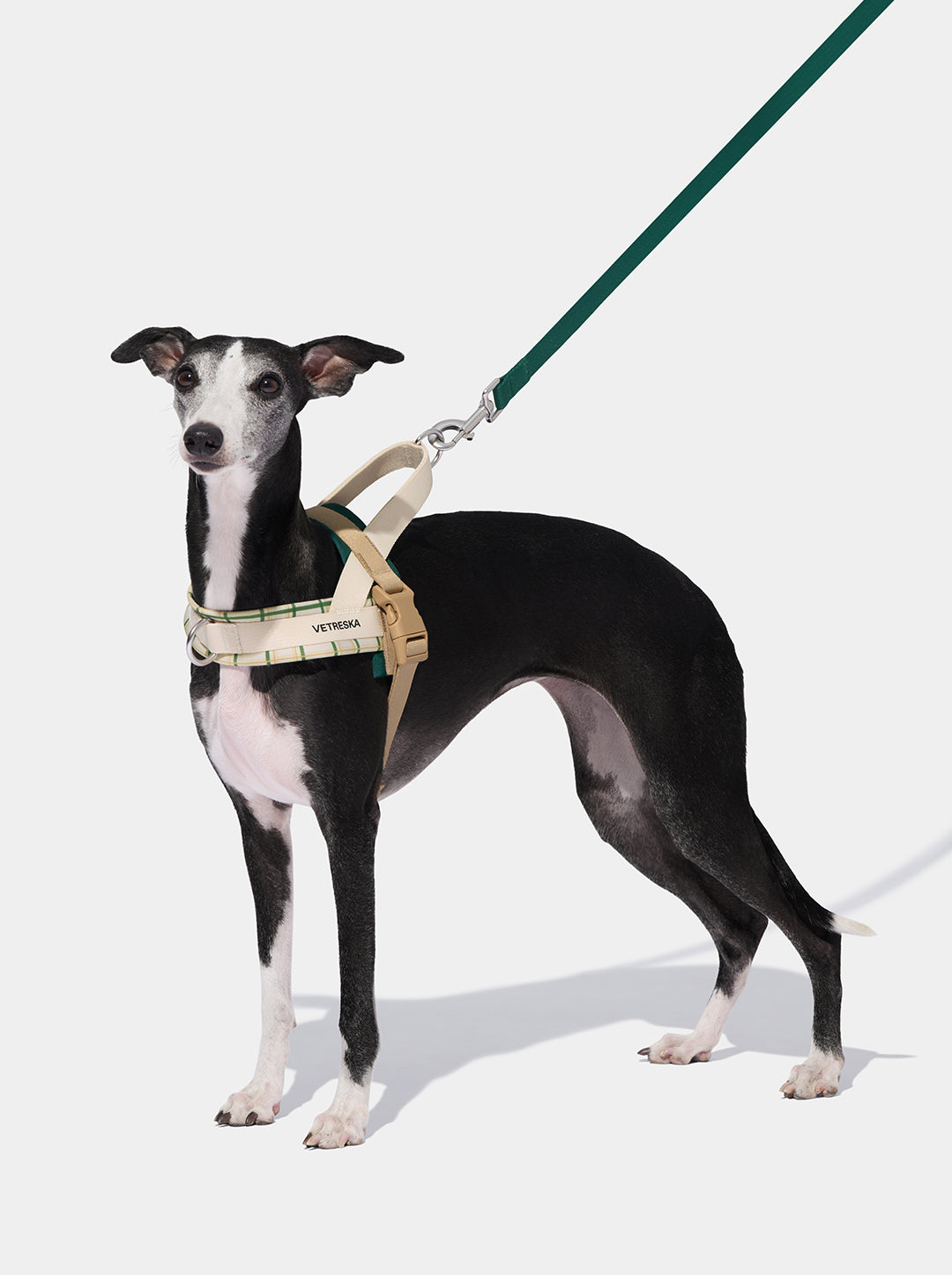 Santal Forest Pet Harness & Leash Set