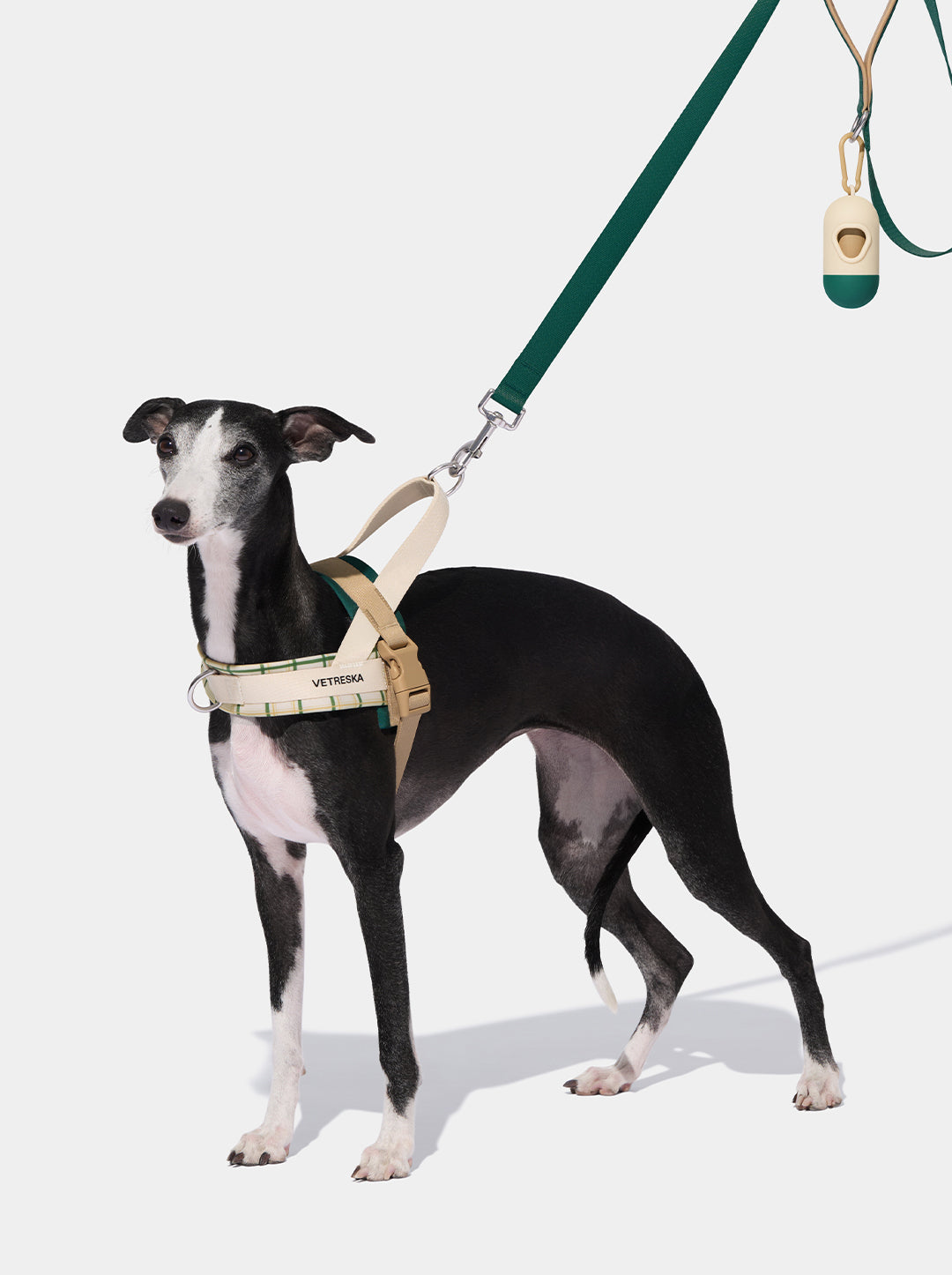 Santal Forest Pet Walk Kit