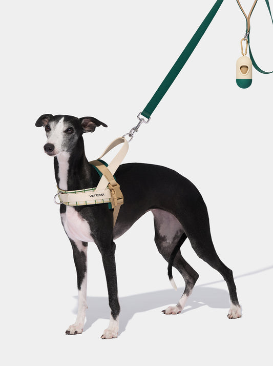 Santal Forest Pet Walk Kit