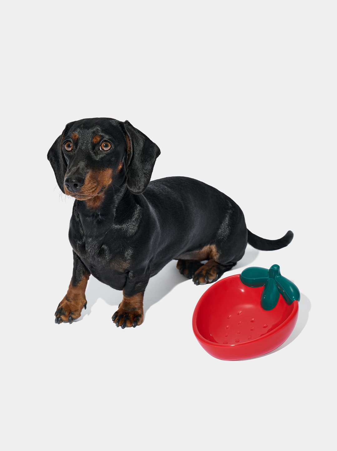 Strawberry Ceramic Pet Bowl