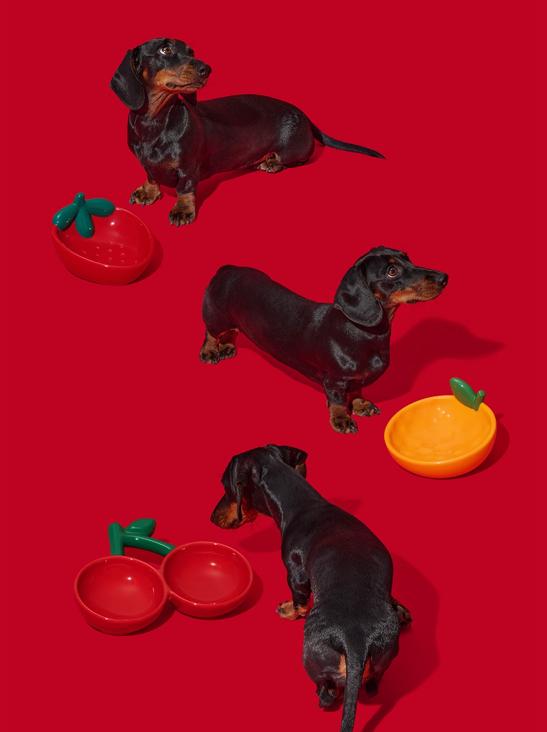 Strawberry Ceramic Pet Bowl