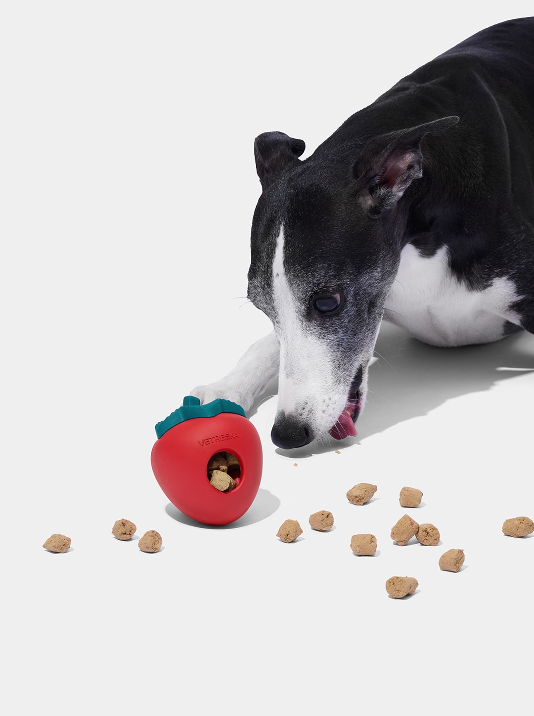Strawberry Pet Treat Dispensing Toy