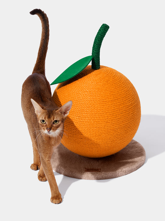 VETRESKA Tangerine Cat Scratching Ball