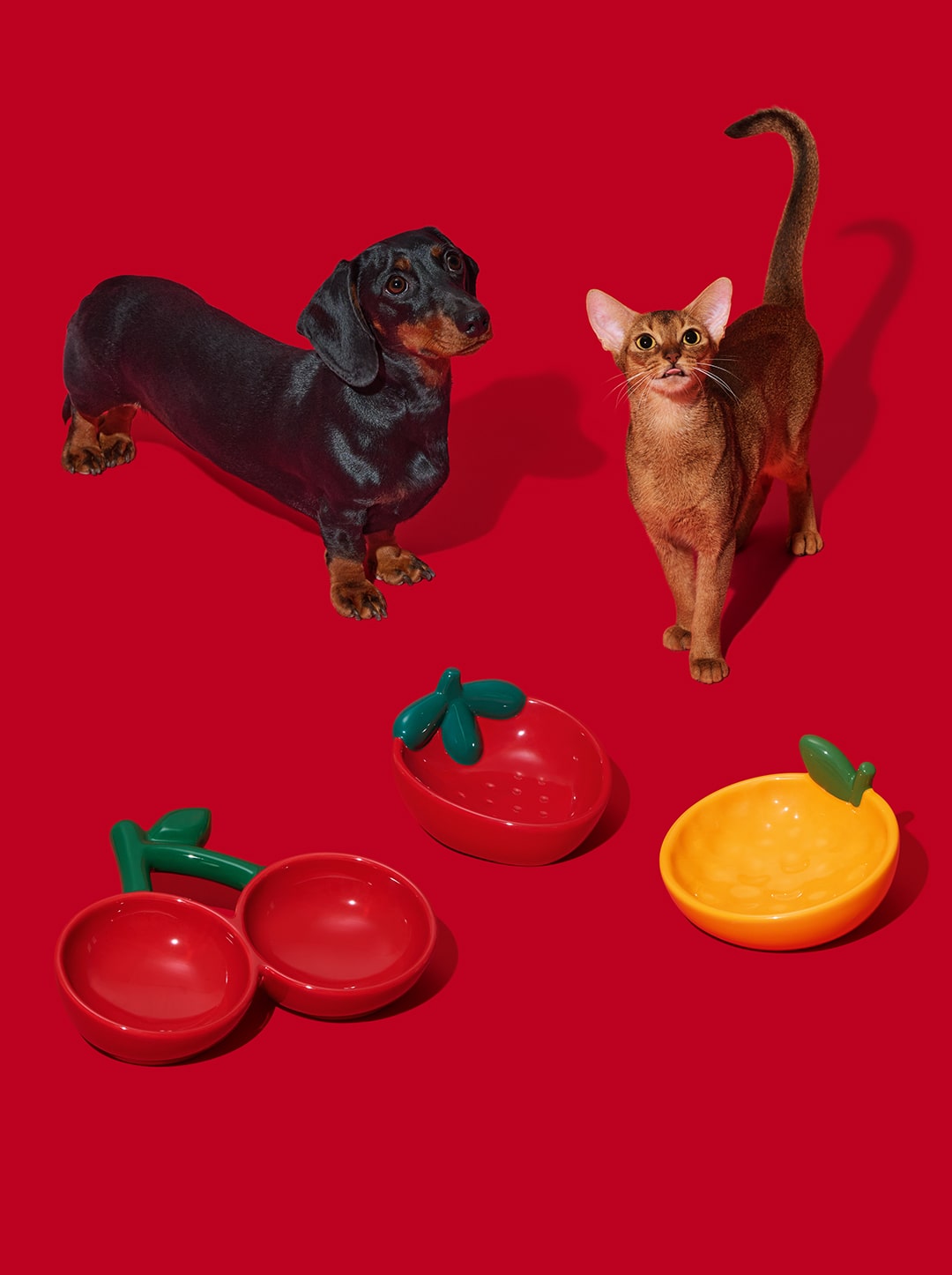 Tangerine Ceramic Pet Bowl