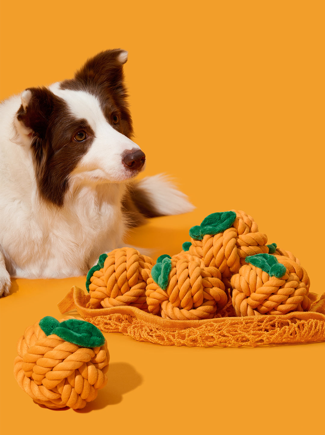 VETRESKA Tangerine Knot Rope Toy