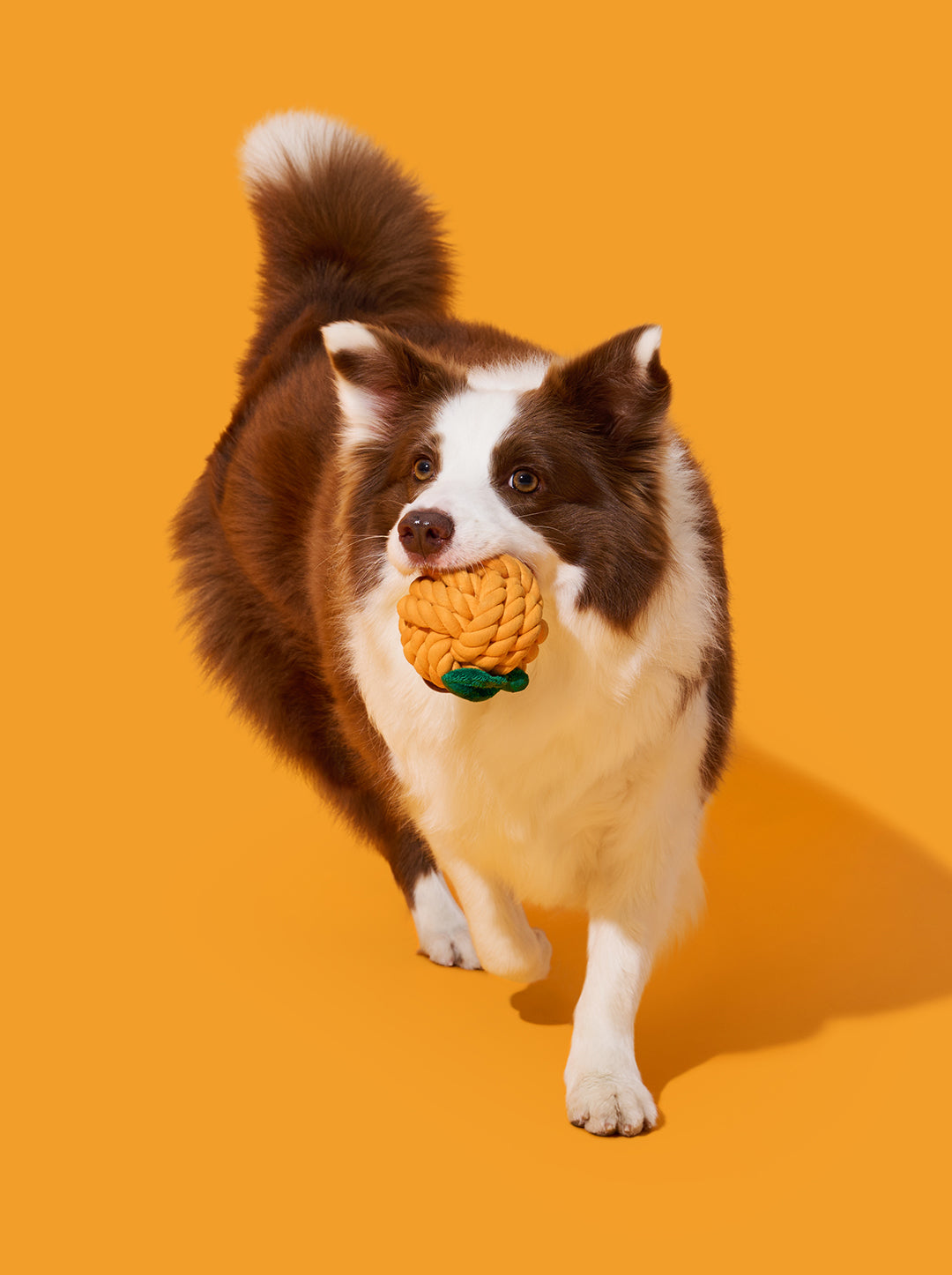 Tangerine Knot Rope Toy