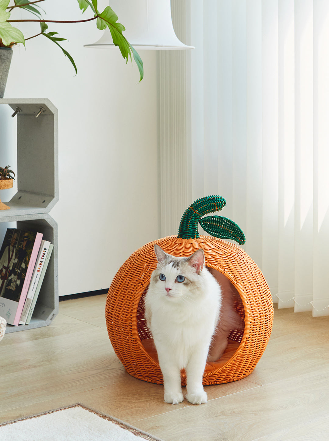 VETRESKA Tangerine Rattan Pet Bed