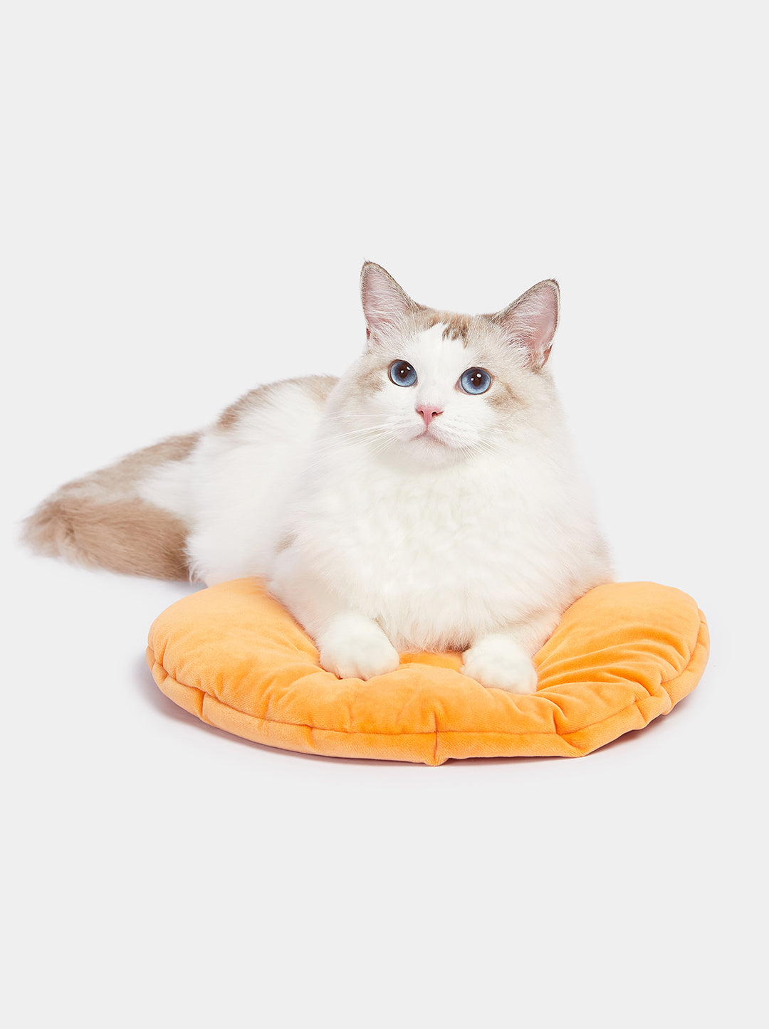 VETRESKA Tangerine Rattan Pet Bed