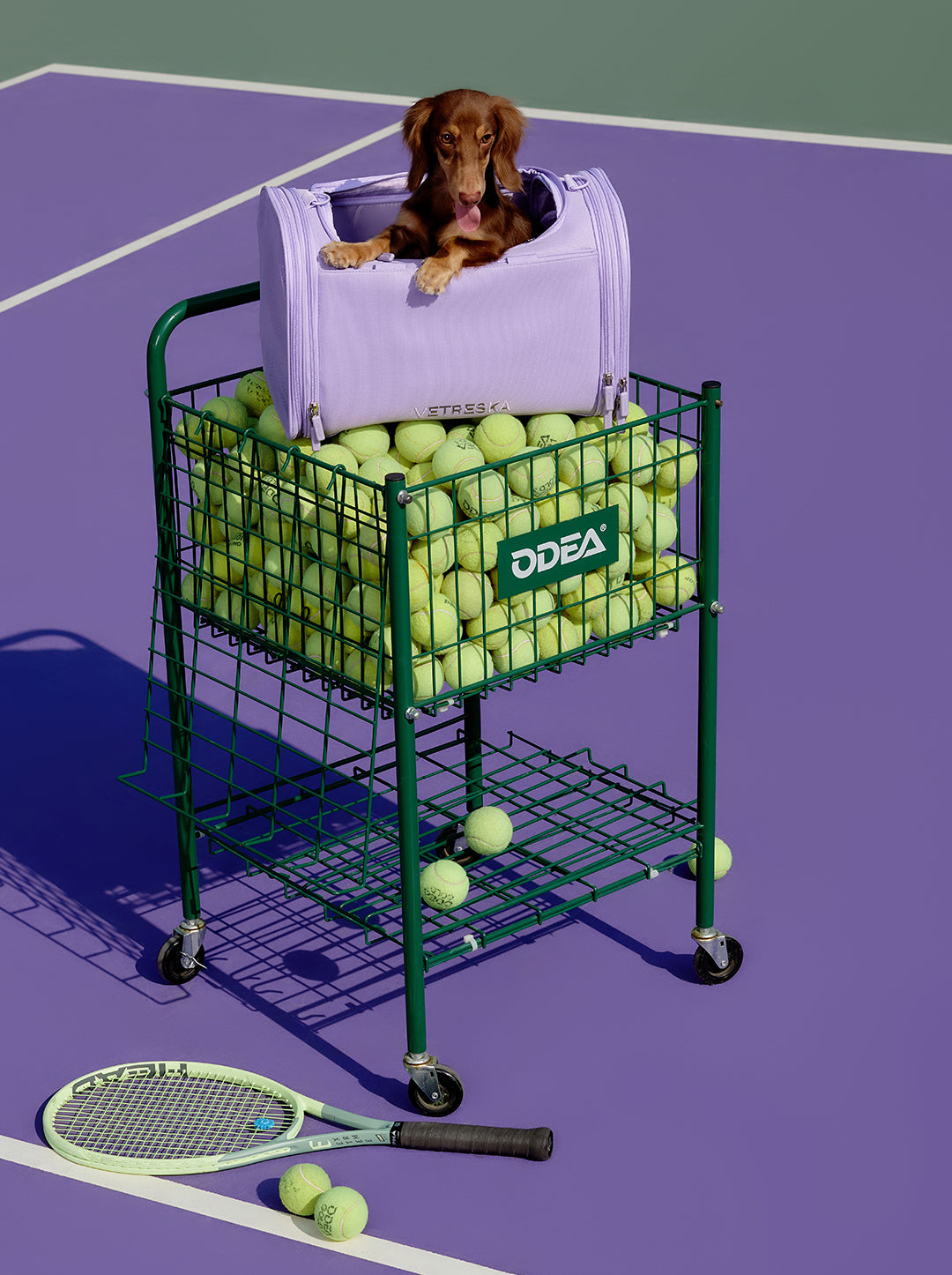 VETRESKA Violet Pet Carrier