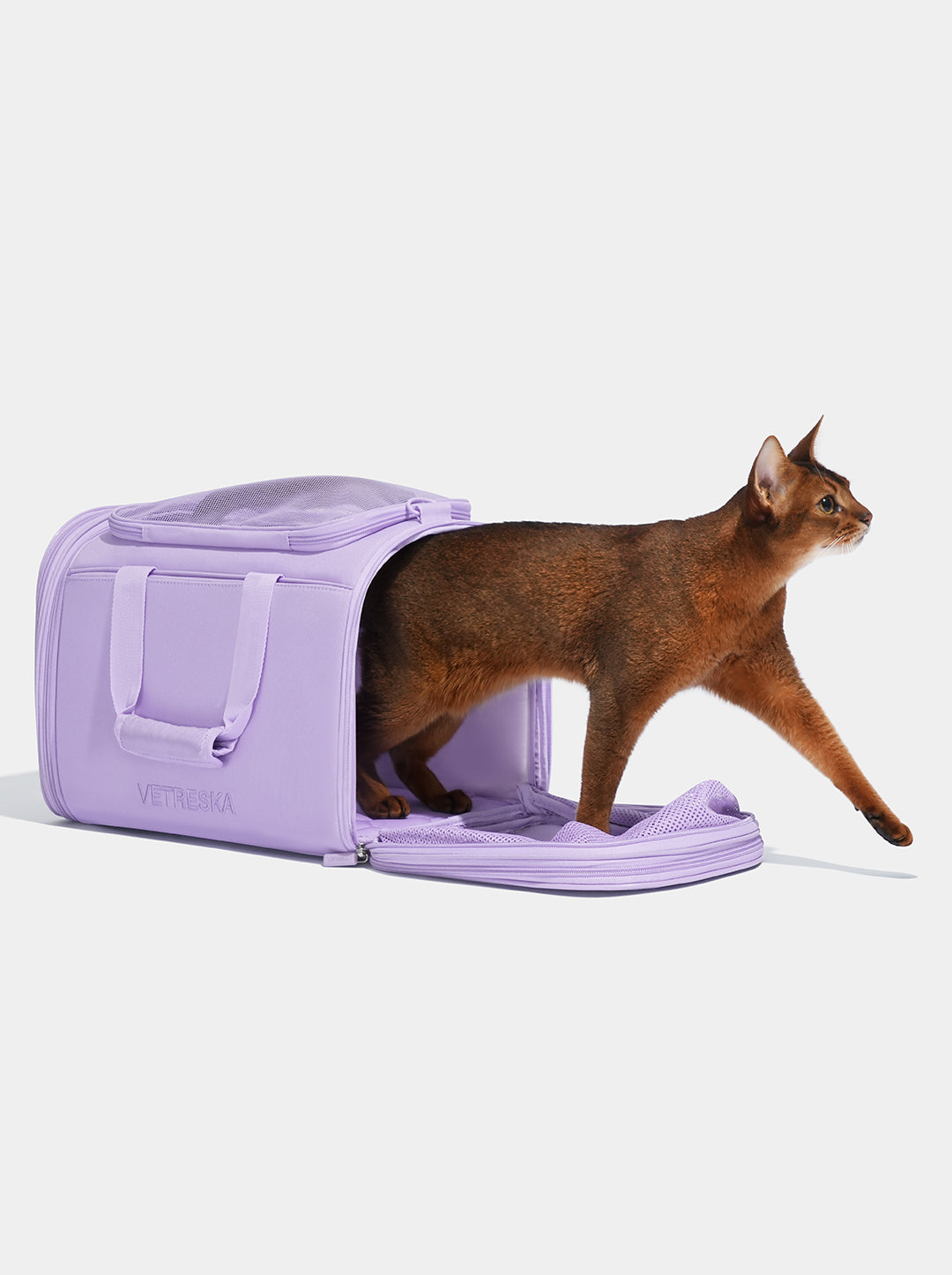 VETRESKA Violet Pet Carrier