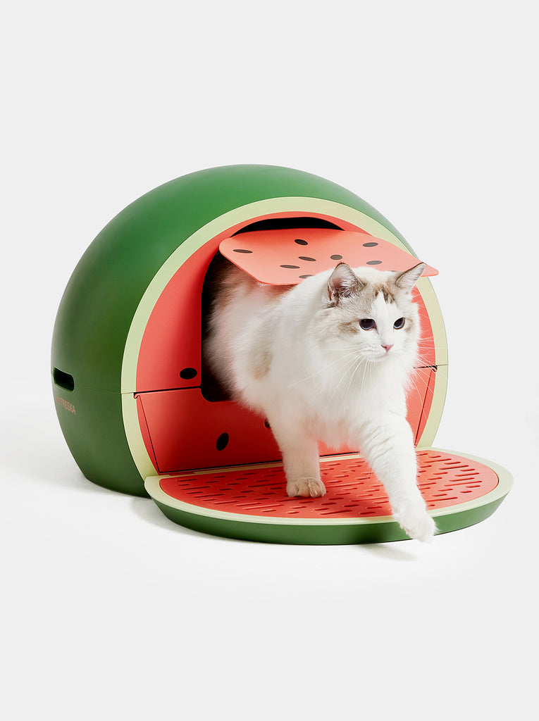 Watermelon Kitty Kove
